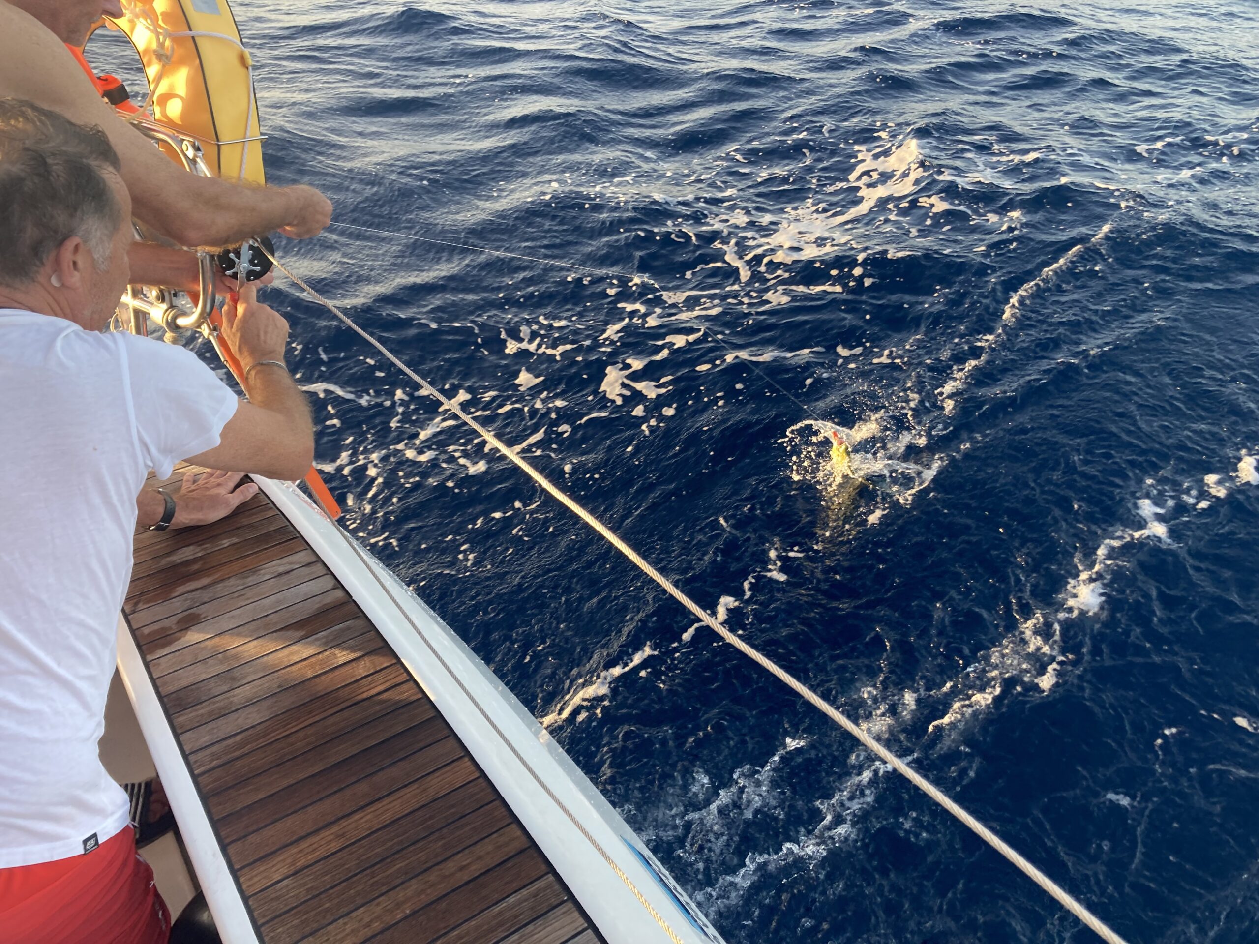 Angelschein – Lizenz zum Angeln in Kroatien – Online kaufen - AC Nautik ...